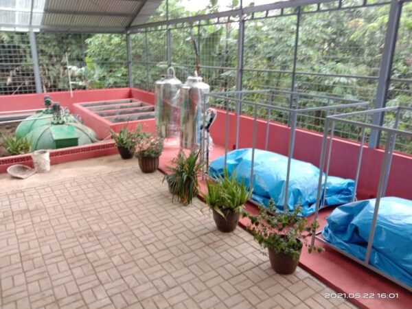 Paiton Depok UI 6