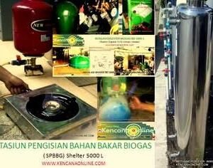 BD 5000 L