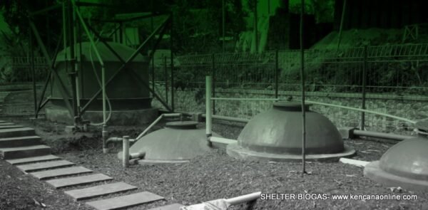 Shelter Biogas (1)