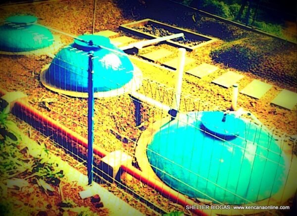 Shelter Biogas (3)