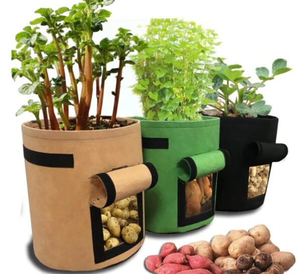 Compost Planter Bag Tanaman Umbi (12)