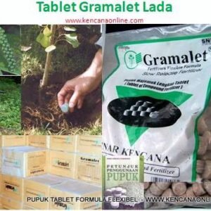 Gramalet Lada