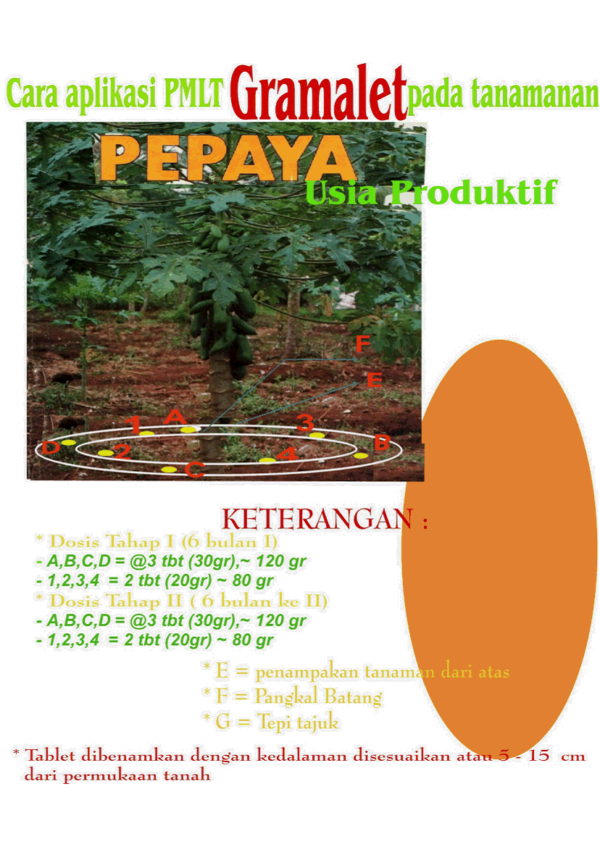 Pupuk Tablet (61)